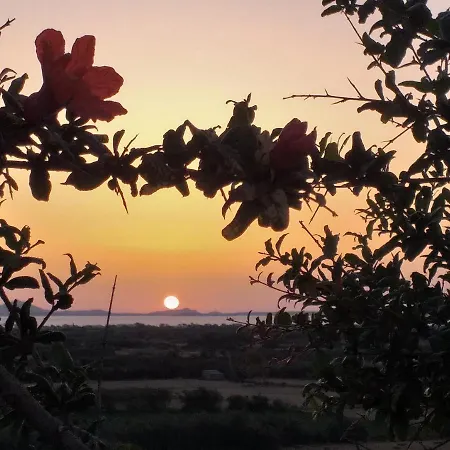 別荘 Naxian Vacation With Sea View Glinado Naxos