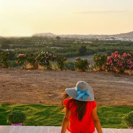Naxian Vacation With Sea View Tatil Evi